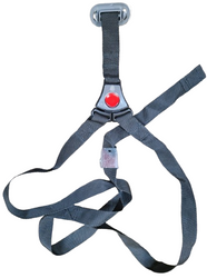 Pasy - Szelki do spacerówek ADBOR